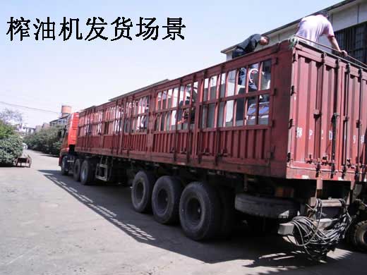 雙象榨油機(jī)的效果怎么樣？